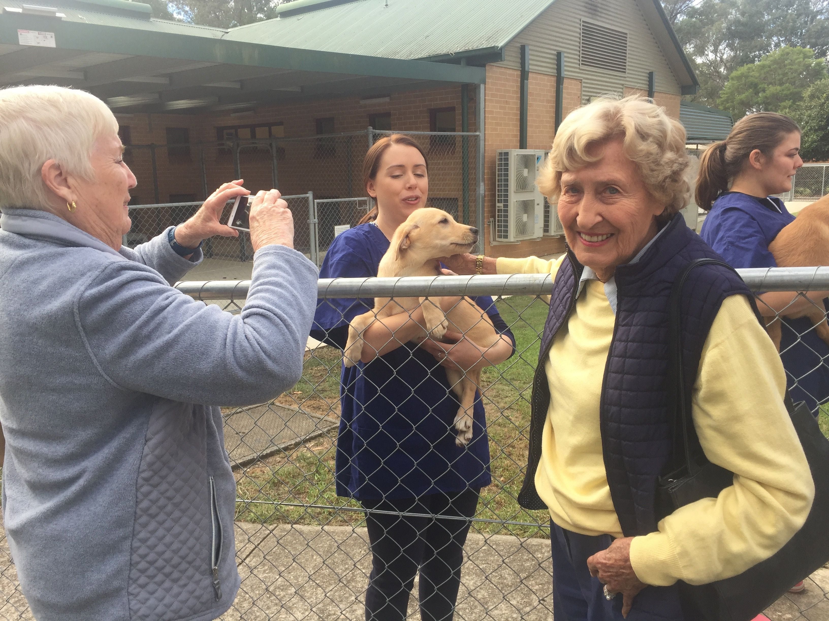 Guide Dogs NSW Day Tour Image -5b16260e60500